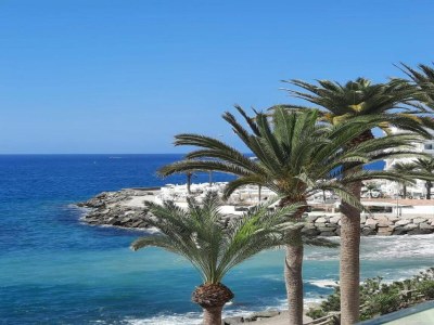 Holiday house Wohnung in Playa de Mogán am Strand - Environment photo 28