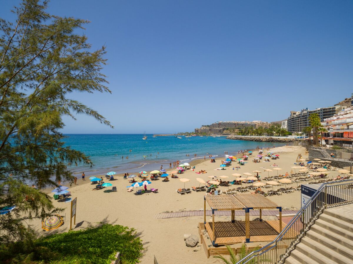 Holiday house Villa in Anfi Tauro near Beach & Golf - Outdoor photo 4