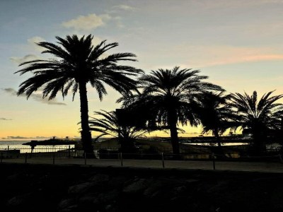 Apartment Wohnung in Mogán Playa am Strand - Environment photo 23