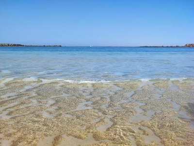 Apartment Wohnung in Mogán Playa am Strand - Environment photo 28