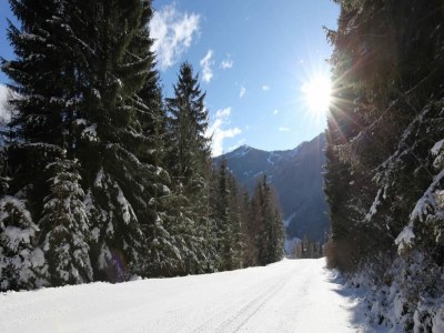 Holiday house Apartment in Bad Kleinkirchheim by Ski Slope - Environment photo 7