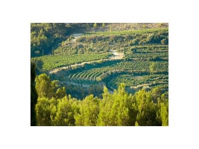 Holiday apartment azura - Environment photo 12