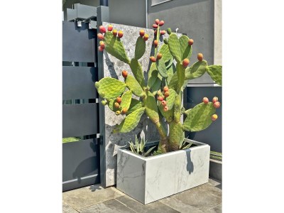 Holiday house Villa La Torre - Outdoor photo 9