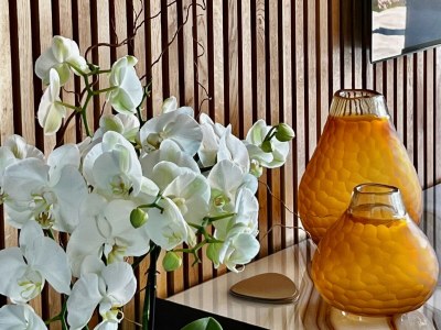 Holiday house Villa La Torre - Features photo 19