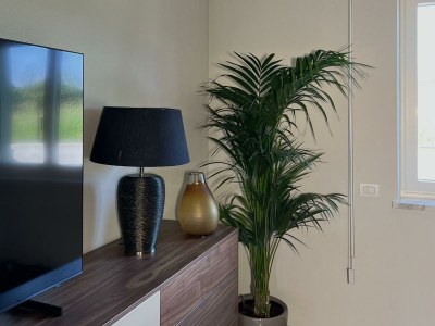 Holiday house Villa La Torre - Features photo 31