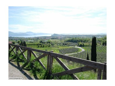 Holiday house Villa La Torre - Environment photo 37