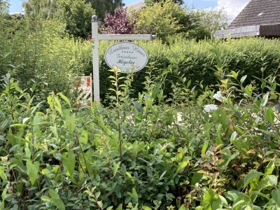 Cottage Högelia - Outdoor photo 6