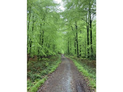 Cottage Högelia - Environment photo 36