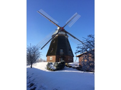 Cottage Högelia - Environment photo 37