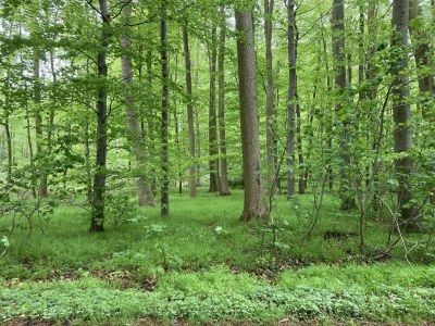 Cottage Högelia - Environment photo 38