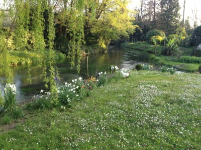 Holiday house "Rambaldo" with garden in castle - Outdoor photo 18