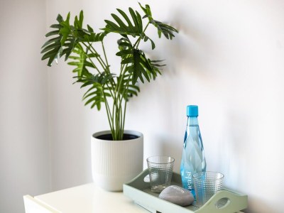 Apartment Apartment mit Blick auf den Strand Benagil - Outdoor photo 28