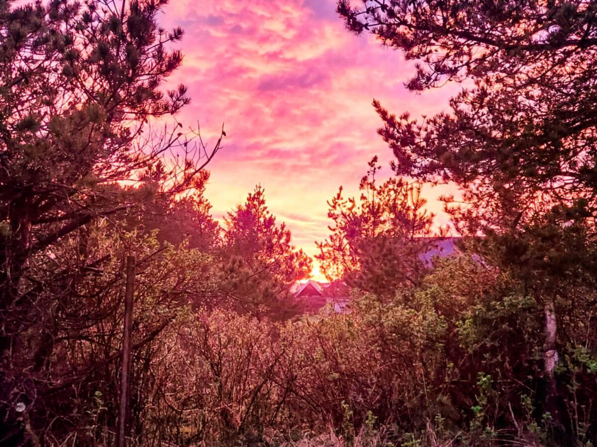 Holiday house 6 Personen Ferienhaus in Thisted - Outdoor photo 3