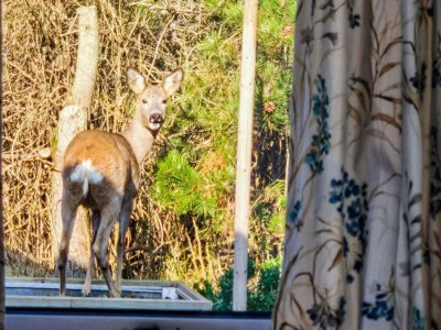 Holiday house 6 Personen Ferienhaus in Thisted - Outdoor photo 2
