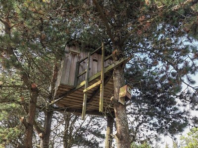 Holiday house 6 Personen Ferienhaus in Thisted - Outdoor photo 6