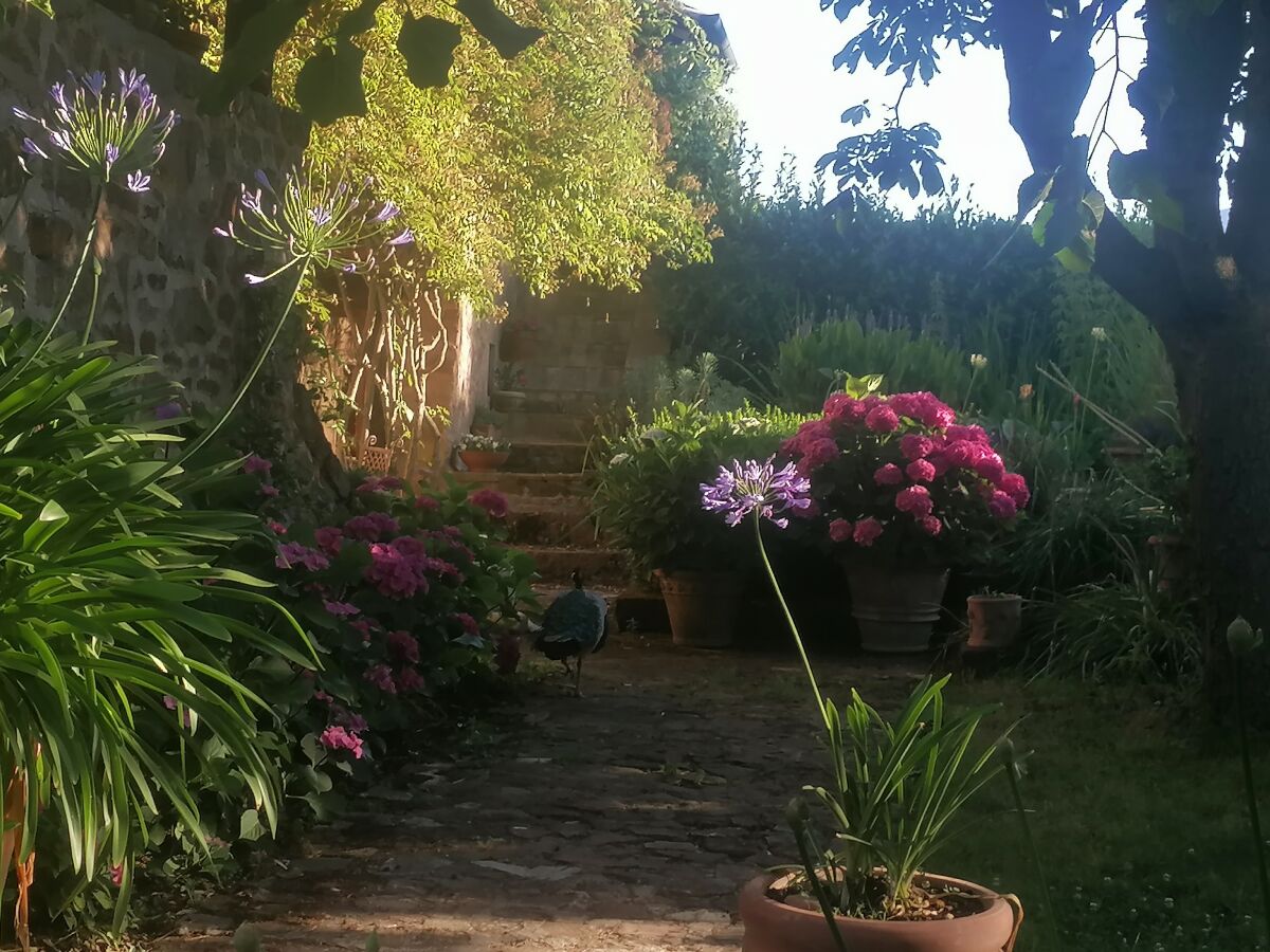 Holiday apartment Casa Grande - Outdoor photo 4