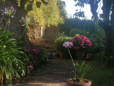 Holiday apartment Casa Grande - Outdoor photo 4