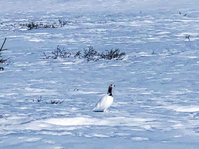 Holiday house 4 Sterne Ferienhaus in Ål - Outdoor photo 10