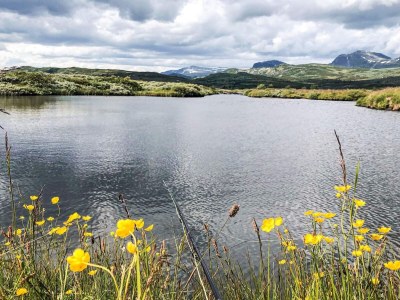 Holiday house 4 Sterne Ferienhaus in Ål - Outdoor photo 11