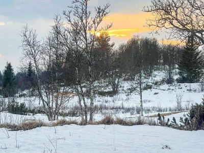 Holiday house 4 Sterne Ferienhaus in Ål - Outdoor photo 31