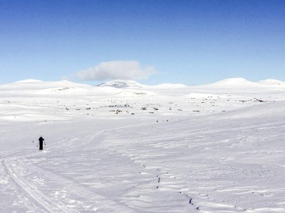 Holiday house 4 Sterne Ferienhaus in Ål - Outdoor photo 40