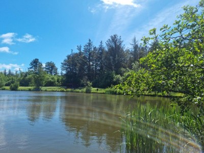 Holiday house 4 star holiday home in Løkken - Outdoor photo 39