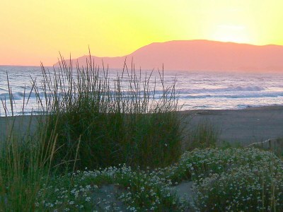 Villa Villa Kadal a 100 metri dal mare - Environment photo 39