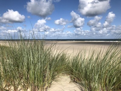 Holiday house Oosterscheldelaan 54 - Environment photo 27