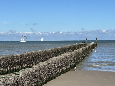 Holiday house Oosterscheldelaan 54 - Environment photo 32