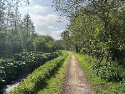 Holiday house Oosterscheldelaan 54 - Environment photo 34