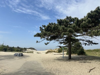 Holiday house Oosterscheldelaan 54 - Environment photo 35