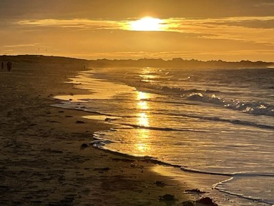 Holiday house Oosterscheldelaan 54 - Environment photo 36