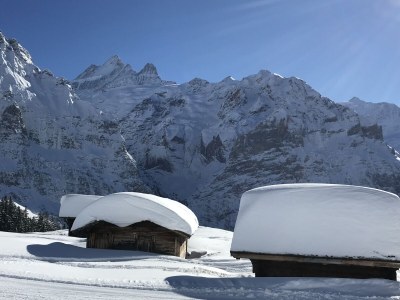 Holiday apartment Chalet Abesitz - Environment photo 23