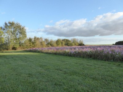 Farmhouse Bauernhaus in Giroux nahe Wald & See - Environment photo 30