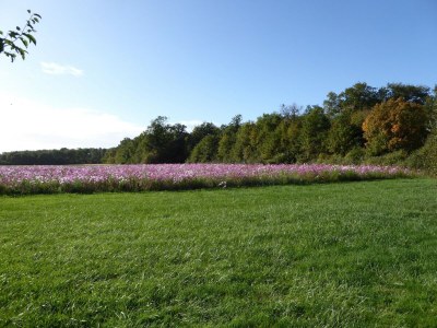 Farmhouse Bauernhaus in Giroux nahe Wald und See - Environment photo 40