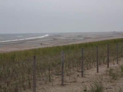 Holiday park Bungalow in den Niederlanden in Küstennähe - Environment photo 21