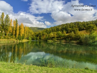 Holiday house Villa Cantone & SPA - Environment photo 17