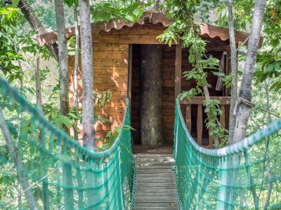 Holiday house Villa Cantone & SPA - Environment photo 18