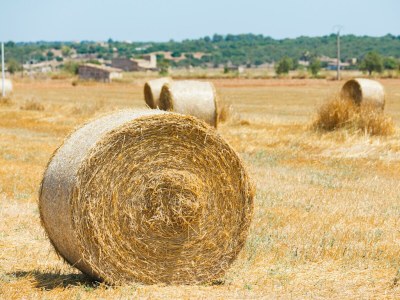 Villa 066 Villa Mexic 41 ETV/8816 by Mallorca Charme - Outdoor photo 34