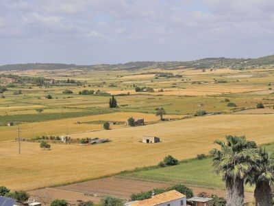 Holiday house 263 Can Paredjal ETV/12254 by Mallorca Charme - Environment photo 26