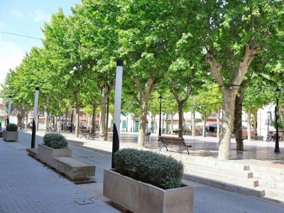 Holiday house 263 Can Paredjal ETV/12254 by Mallorca Charme - Outdoor photo 28