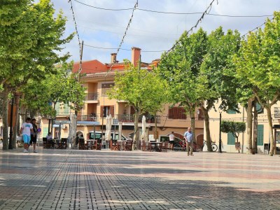 Holiday house 263 Can Paredjal ETV/12254 by Mallorca Charme - Outdoor photo 29