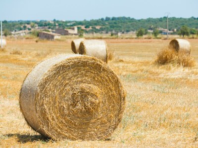 Villa 267 Villa es Mal Pas ETV/15768 By Mallorca Charme - Outdoor photo 39