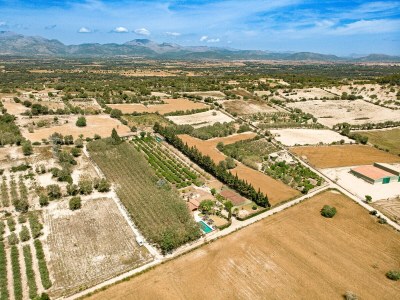 Villa 273 Villa Joy ETV/99 by Mallorca Charme - Environment photo 32