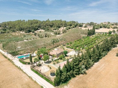 Villa 273 Villa Joy ETV/99 by Mallorca Charme - Environment photo 35