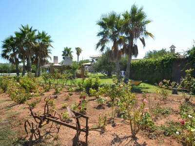 Cottage 052 Finca Can Gamundi ETV/964 by Mallorca Charme - Environment photo 24