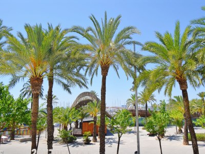 Apartment 134 Apartamento Pins-Tugores ETVPL/13155 by Mallor - Environment photo 16