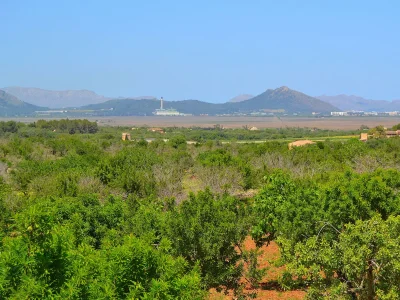 Cottage 230 Finca Sa Caseta de Son Morro ETV/5986 by Mallo - Environment photo 27