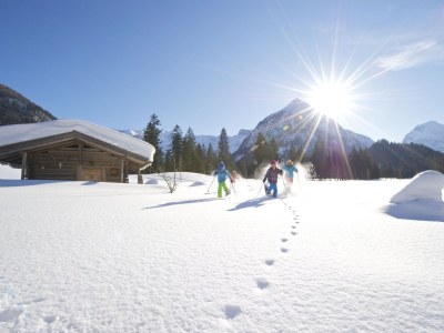 Holiday house Alpenchalet Achensee - Environment photo 18
