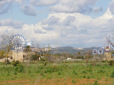 Cottage 411 Finca Sa Costa ETV1976 by Mallorca Charme - Environment photo 28